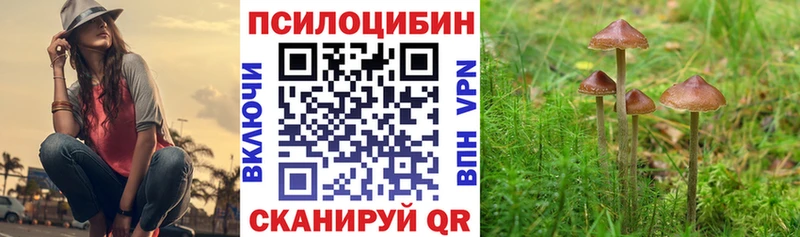 дарнет шоп  Соль-Илецк  Псилоцибиновые грибы прущие грибы 